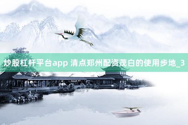 炒股杠杆平台app 清点郑州配资茂白的使用步地_3