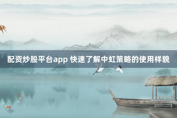 配资炒股平台app 快速了解中虹策略的使用样貌