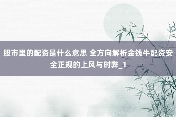 股市里的配资是什么意思 全方向解析金钱牛配资安全正规的上风与时弊_1