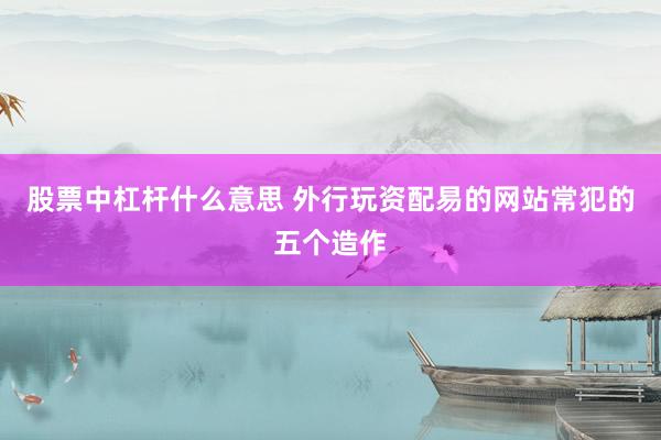 股票中杠杆什么意思 外行玩资配易的网站常犯的五个造作