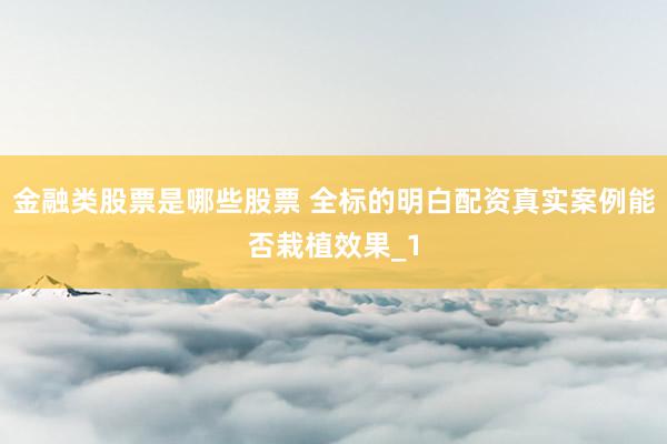 金融类股票是哪些股票 全标的明白配资真实案例能否栽植效果_1