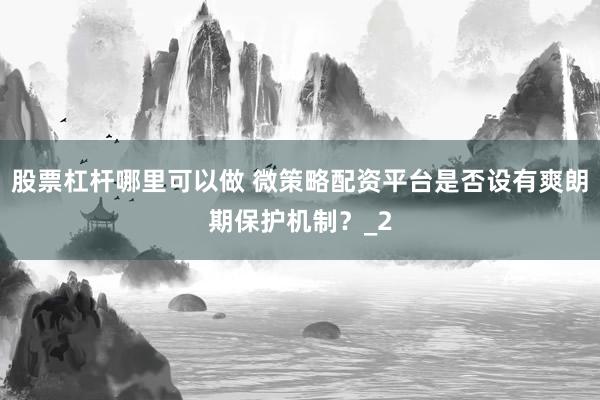股票杠杆哪里可以做 微策略配资平台是否设有爽朗期保护机制？_2