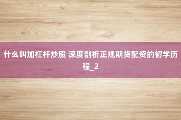 什么叫加杠杆炒股 深度剖析正规期货配资的初学历程_2