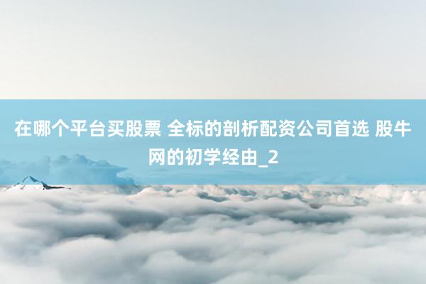 在哪个平台买股票 全标的剖析配资公司首选 股牛网的初学经由_2