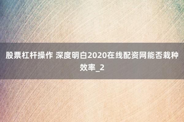 股票杠杆操作 深度明白2020在线配资网能否栽种效率_2