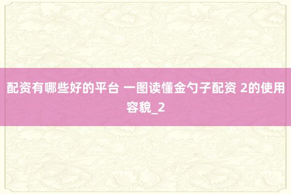 配资有哪些好的平台 一图读懂金勺子配资 2的使用容貌_2