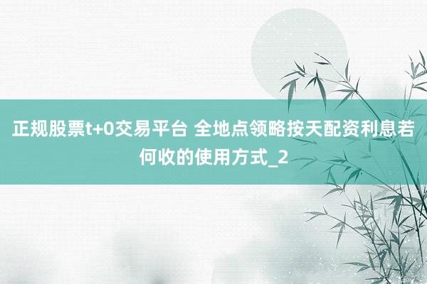 正规股票t+0交易平台 全地点领略按天配资利息若何收的使用方式_2