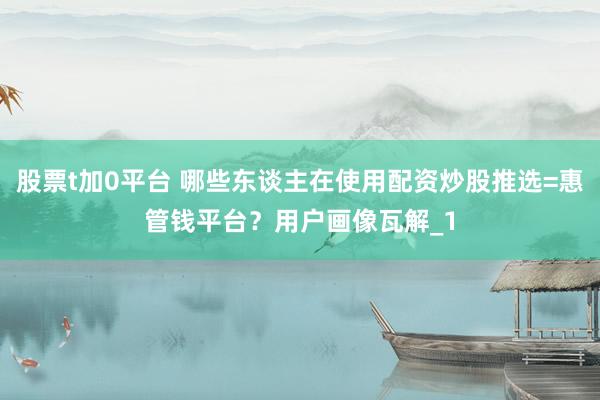 股票t加0平台 哪些东谈主在使用配资炒股推选=惠管钱平台？用户画像瓦解_1
